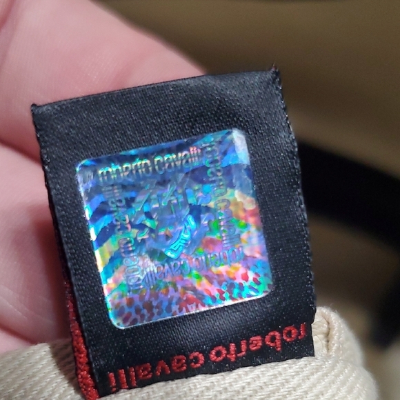 Roberto Cavalli Brown Crossbody Bag with Vintage Leather - Picture 11 of 14